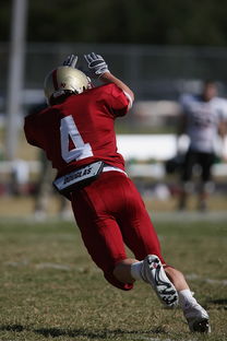 德布劳内赛事官方发布战术调整新规，德国队争议不断！